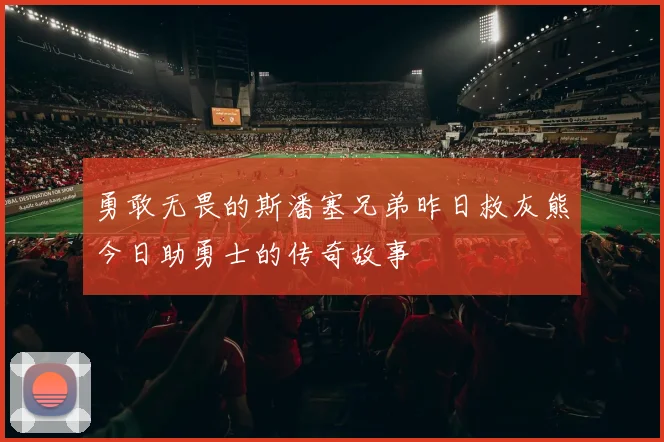 勇敢无畏的斯潘塞兄弟昨日救灰熊今日助勇士的传奇故事