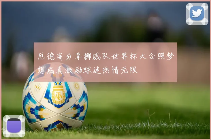 厄德高分享挪威队世界杯大合照梦想成真激励球迷热情无限