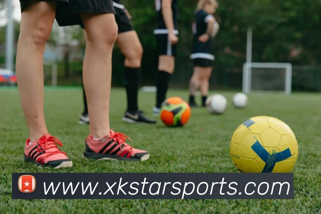 星空体育APP 封面图